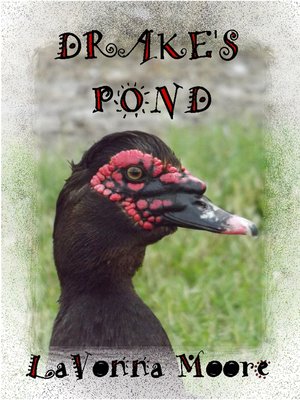 cover image of Drake's Pond